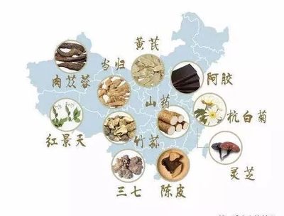 【市中醫|膏方節】探秘